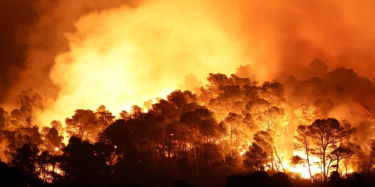Konsesi di Sumatra-Kalimantan Terindikasi Ada Titik Api