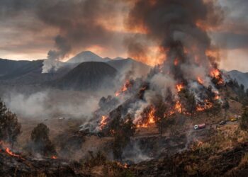 Karhutla Gunung Bromo