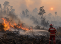 Petugas memadamkan kebakaran hutan dan lahan di tengah kabut asap