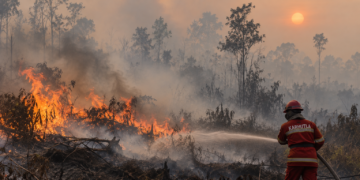 Petugas memadamkan kebakaran hutan dan lahan di tengah kabut asap
