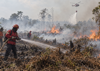 Ilustrasi petugas memadamkan kebakaran hutan dan lahan dengan dukungan helikopter water bombing