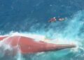 Kondisi KMP Virgo Transport 8 setelah mengalami kecelakaan di Laut Jawa