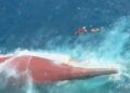 Kondisi KM Virgo Transport 8 setelah mengalami kecelakaan di Laut Jawa