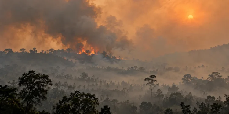 Ilustrasi kebakaran di kawasan hutan berbukit dengan asap tebal dan langit berwarna jingga