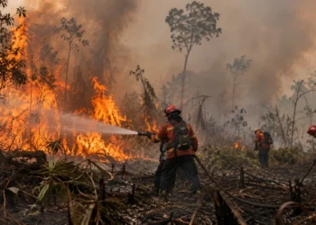 Ilustrasi petugas memadamkan kebakaran hutan dan lahan.