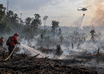 Ilustrasi petugas menyiram area bekas kebakaran hutan yang masih berasap, dengan helikopter pemadam di kejauhan