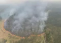 Tampak dari atas kawasan hutan berasap tebal dengan garis api di tepi area vegetasi yang terbakar