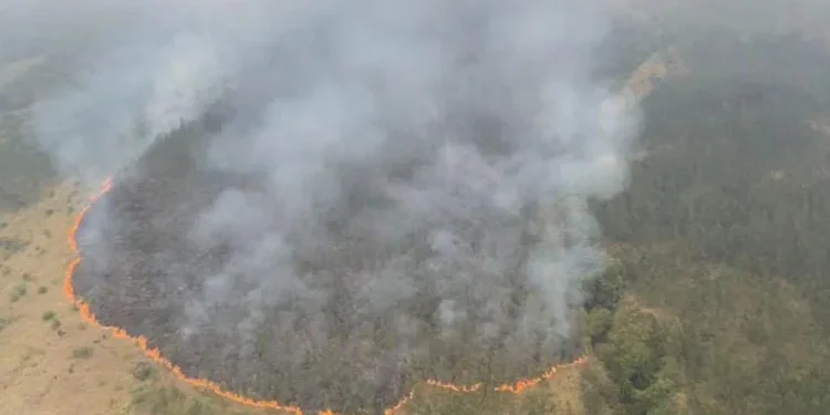Tampak dari atas kawasan hutan berasap tebal dengan garis api di tepi area vegetasi yang terbakar