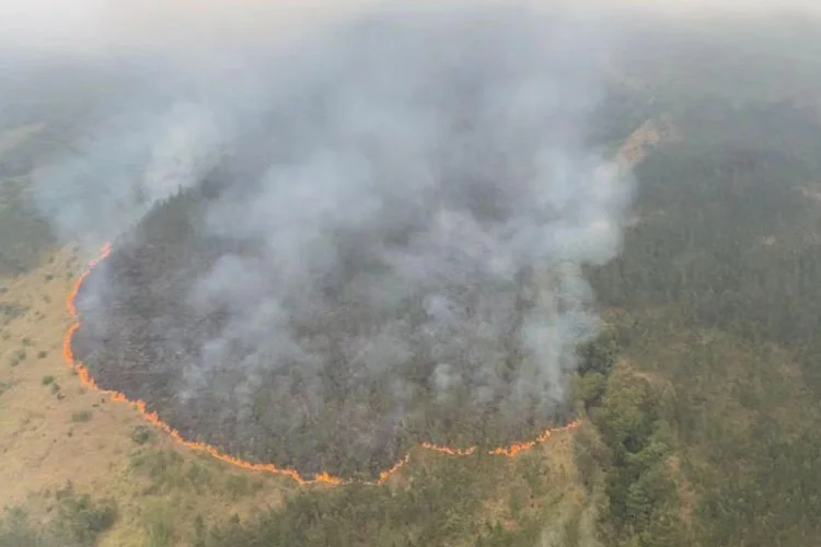 Tampak dari atas kawasan hutan berasap tebal dengan garis api di tepi area vegetasi yang terbakar