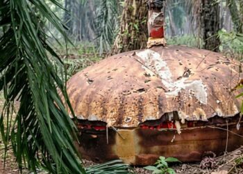 Benda Logam Mirip Kubah Kembali Ditemukan di Kebun Sawit Kotim Kalteng
