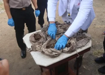 Petugas bersarung tangan biru memeriksa bungkusan kain kusam di atas meja, dikelilingi beberapa orang