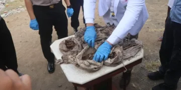 Petugas bersarung tangan biru memeriksa bungkusan kain kusam di atas meja, dikelilingi beberapa orang