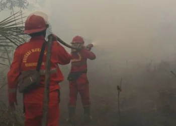 Dua petugas pemadaman kebakaran berseragam merah membawa selang air di kawasan lahan yang diselimuti asap tebal