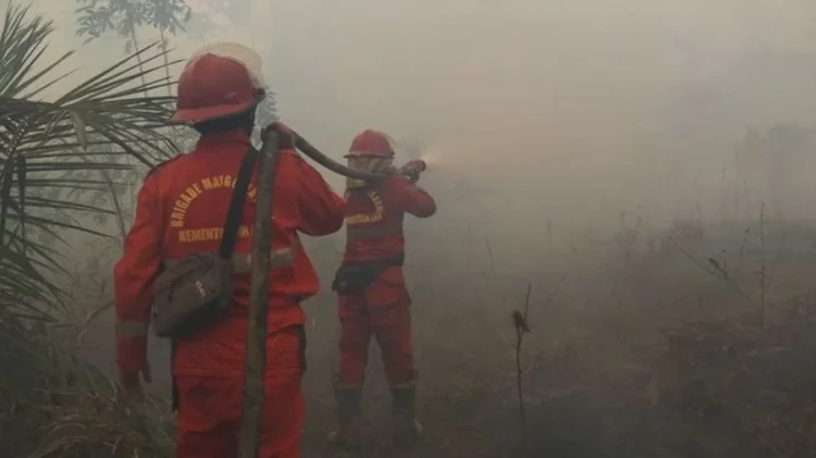 Dua petugas pemadaman kebakaran berseragam merah membawa selang air di kawasan lahan yang diselimuti asap tebal